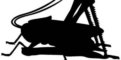 Животные 2528