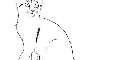 Животные 1149