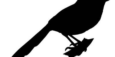 Животные 935