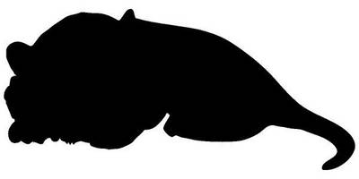 Животные 913