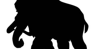 Животные 1035