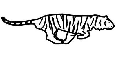 Животные 448