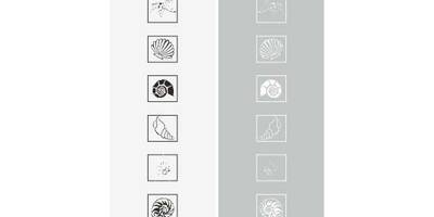 Прямоугольный орнамент 2448