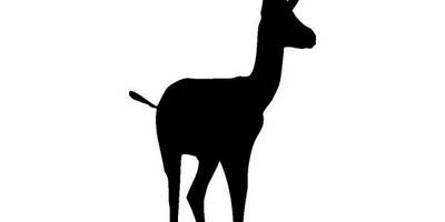 Животные 707