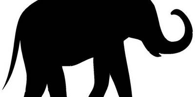 Животные 2174