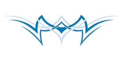 Виниловая наклейка на авто 375