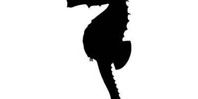 Животные 3927