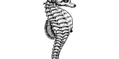 Животные 1799