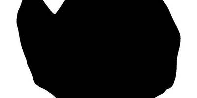 Животные 3073