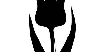 Цветы тюльпан 95