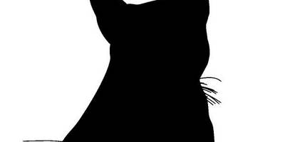 Животные 2521