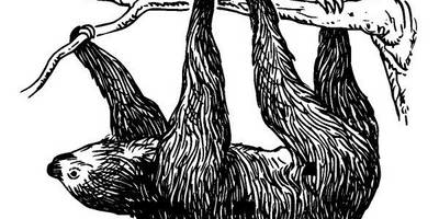 Животные 1119