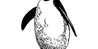 Животные 1095