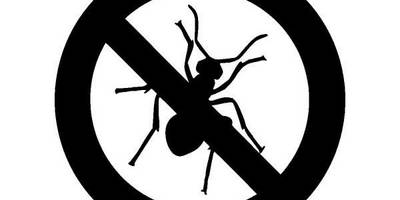 Животные 1136