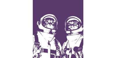 Коты космонавты