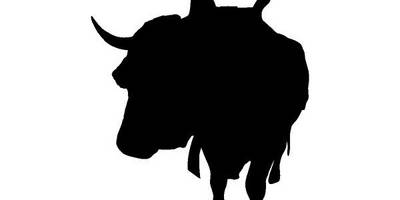 Животные 4244