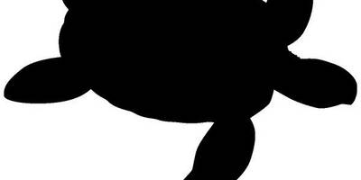 Животные 844