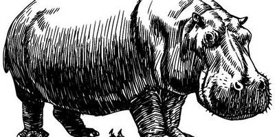 Животные 228