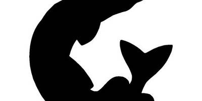 Животные 239