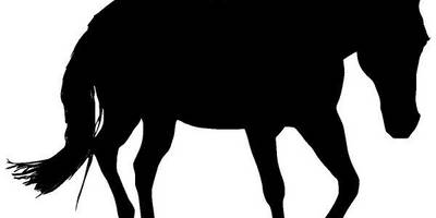 Животные 4082