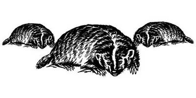 Животные 1983