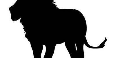 Животные 664