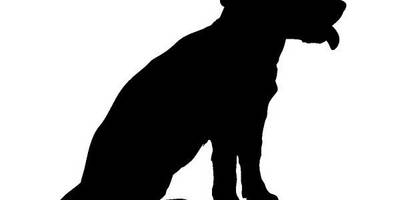 Животные 729