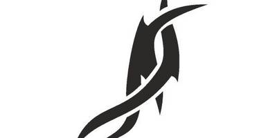 Татуировка 675