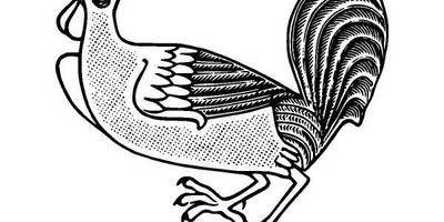 Животные 2623