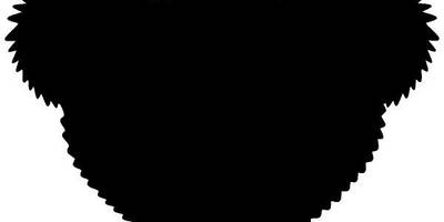 Животные 4037