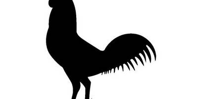 Животные 3953