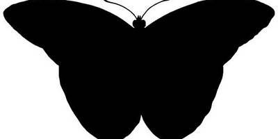 Животные 3244