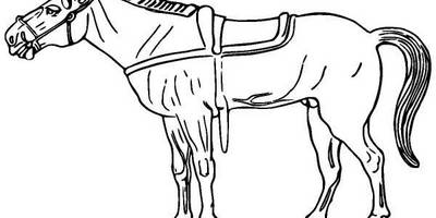 Животные 1302