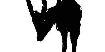 Животные 385