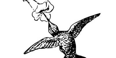 Животные 938