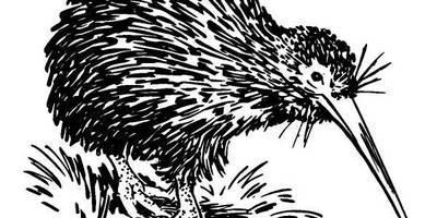 Животные 527