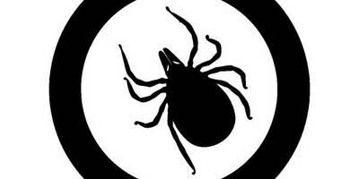 Животные 3195