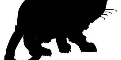 Животные 210