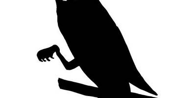 Животные 3440