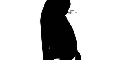 Животные 338