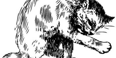 Животные 456