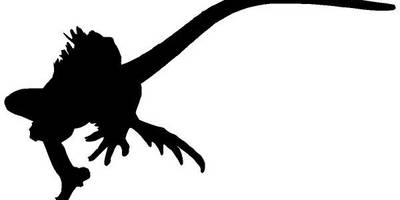 Животные 3219