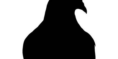 Животные 4246