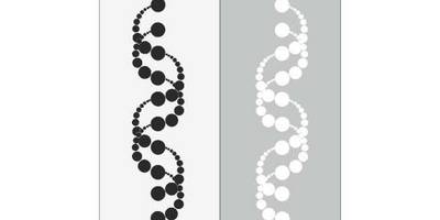 Прямоугольный орнамент 1818