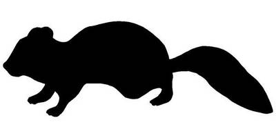 Животные 332