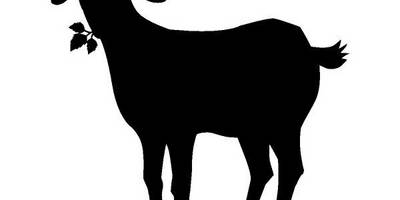 Животные 3174