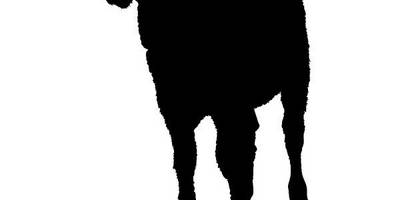 Животные 4203