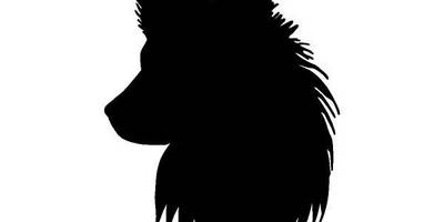 Животные 181