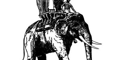 Животные 2727