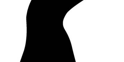 Животные 799